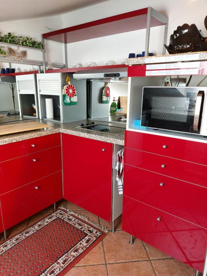 Apartma Reich Daire Ptuj Dış mekan fotoğraf