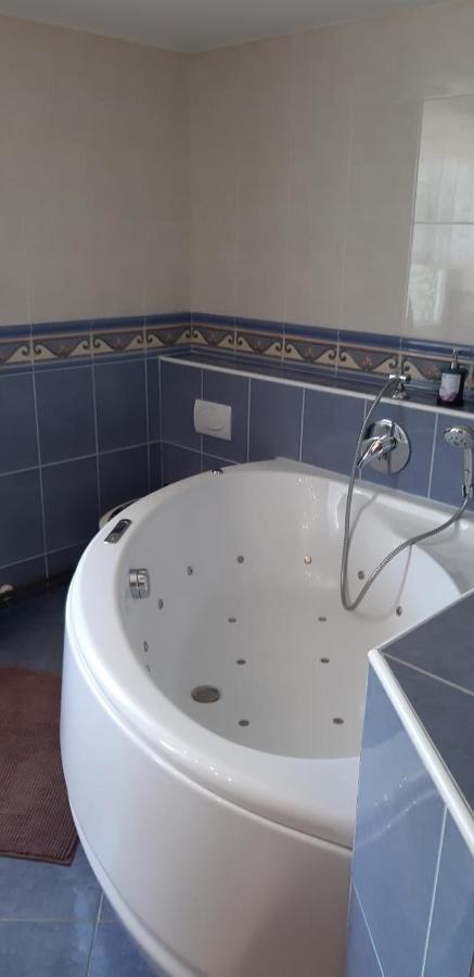 Apartma Reich Daire Ptuj Dış mekan fotoğraf